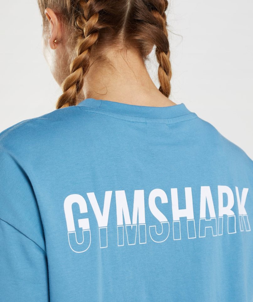 Women's Gymshark Fraction Oversized T-Shirts Blue | CA D65A18